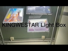 Neem contact met ons op!